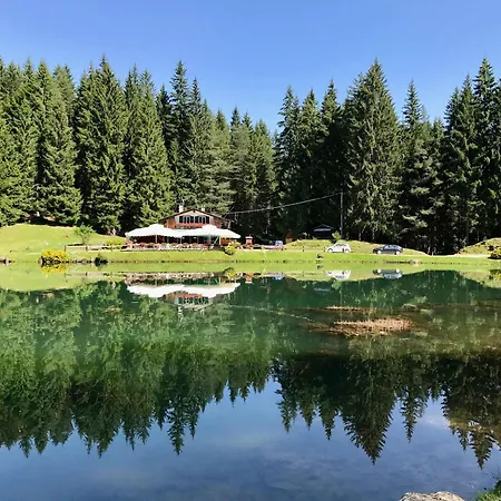 Lejlighed Cozy Basement Flat Just Few Steps From Centre